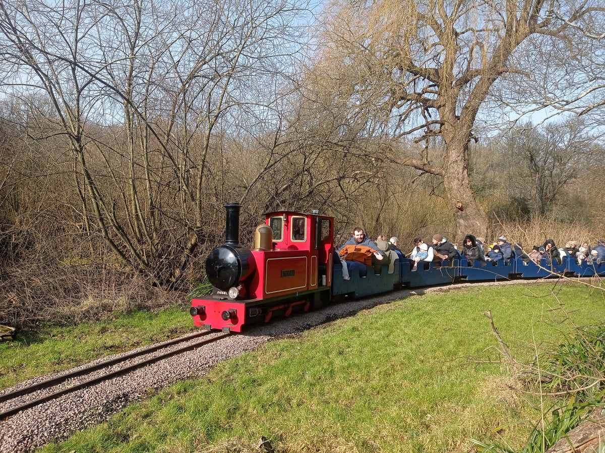 10¼” Steam Outline Locomotive 'Densil'