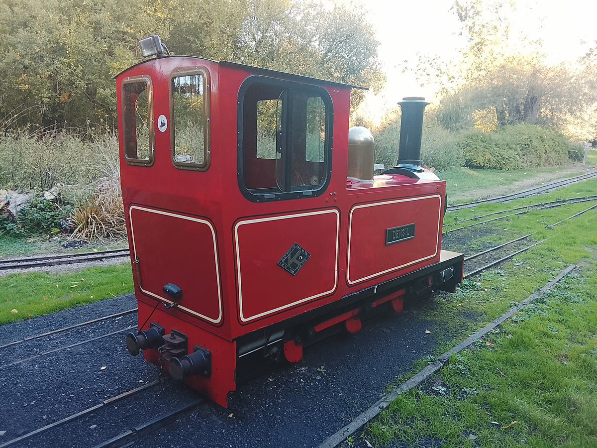 10¼” Steam Outline Locomotive 'Densil'